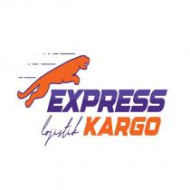 express lojistik kargo