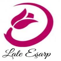 lale eşarp