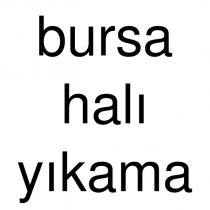 bursa halı yıkama