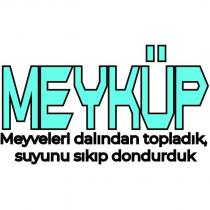 meyküp meyveleri dalından topladık, suyunu sıkıp dondurduk