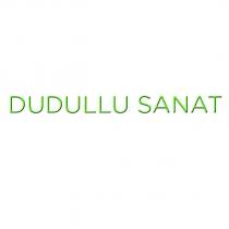 dudullu sanat