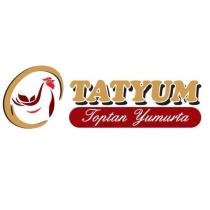 tatyum toptan yumurta