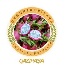 uyguntropitaya tropical meyveler gazipaşa