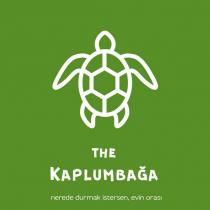 the kaplumbağa nerede durmak istersen, evin orası