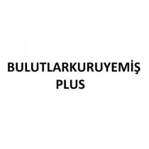 bulutlarkuruyemiş plus