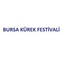 bursa kürek festivali