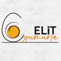 elit yumurta