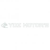 ydz motor's