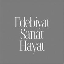 edebiyat sanat hayat
