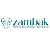 zambak ağız ve diş sağlığı polikliniği