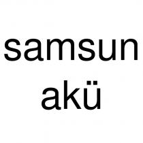 samsun akü