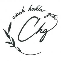 çkg - çiçek koklar gibi