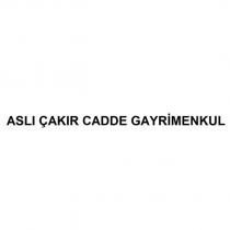 aslı çakır cadde gayrimenkul
