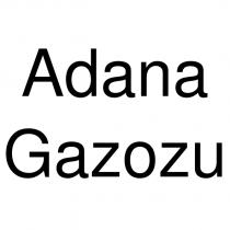 adana gazozu