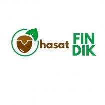 hasat fındık