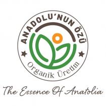 the essence of anatolia anadolu'nun özü organik üretim