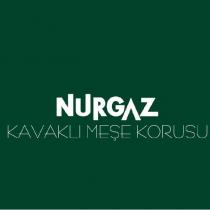 nurgaz kavaklı meşe korusu