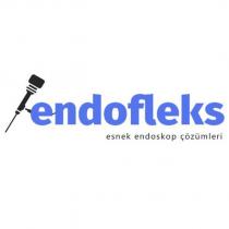 endofleks esnek endoskop çözümleri