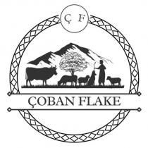 çf çoban flake
