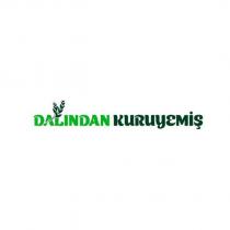 dalından kuruyemiş