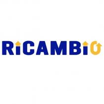 ricambio