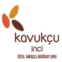 kavukçu inci özel amaçlı buğday unu