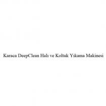 karaca deepclean halı ve koltuk yıkama makinesi