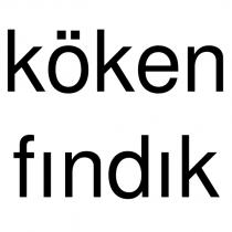 köken fındık