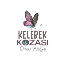 kelebek kozası orman atölyesi