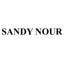 sandy nour