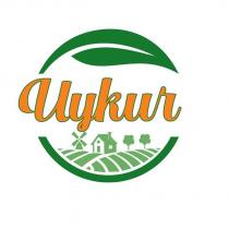 uykur