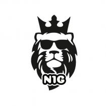 n1g