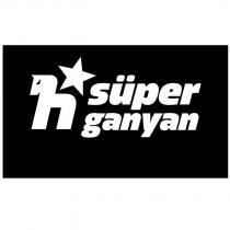 süper ganyan