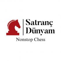 satranç dünyam nonstop chess