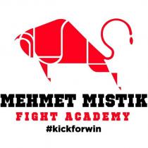 mehmet mıstık fight academy #kickforwin