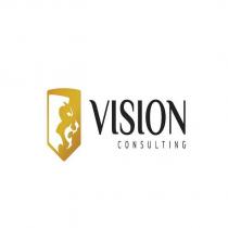 vısıon consultıng