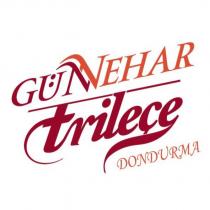 günnehar trileçe dondurma