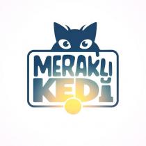 meraklı kedi