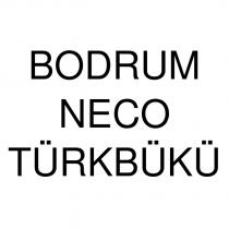 bodrum neco türkbükü