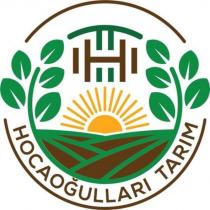 hocaoğulları tarım