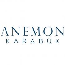 anemon karabük