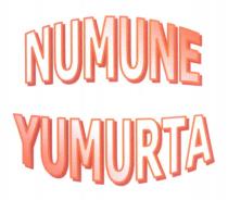 numune yumurta