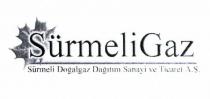 sürmeli gaz sürmeli doğalgaz dağıtım sanayi ve ticaret a.ş.