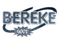 bereke 9001