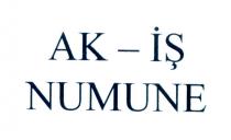 ak-iş numune