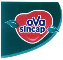 ova sincap şekil