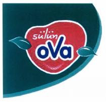 sülün ova şekil