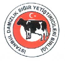 istanbul ili damızlık sığır yetiştiricileri birliği şekil