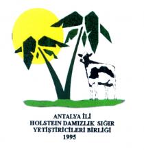 antalya ili holstein ırkı damızlık sığır yetiştiricileri birliği şekil