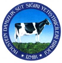 izmir ili holstein ırkı damızlık sığır yetiştiricileri birliği şekil